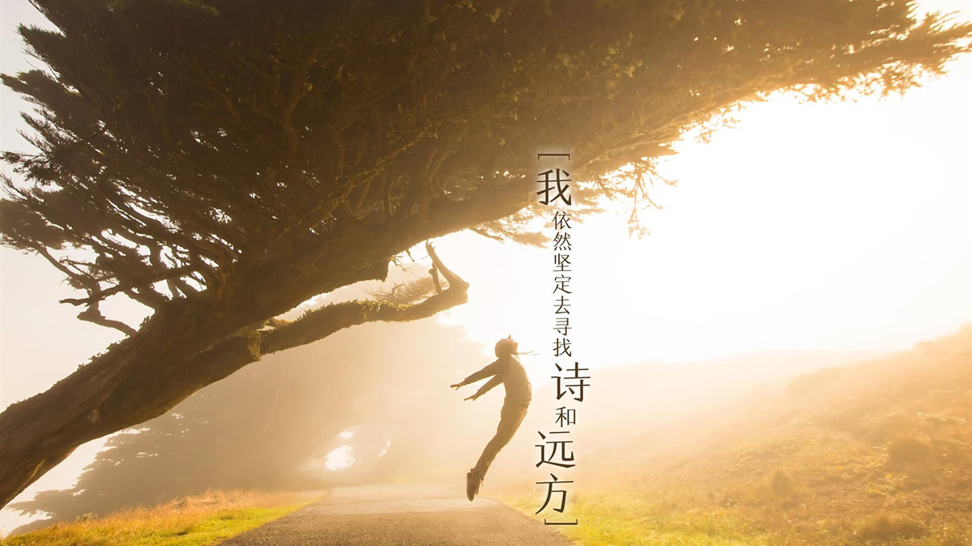 “菁英出战”——新手逐渐崭露头角的动人故事