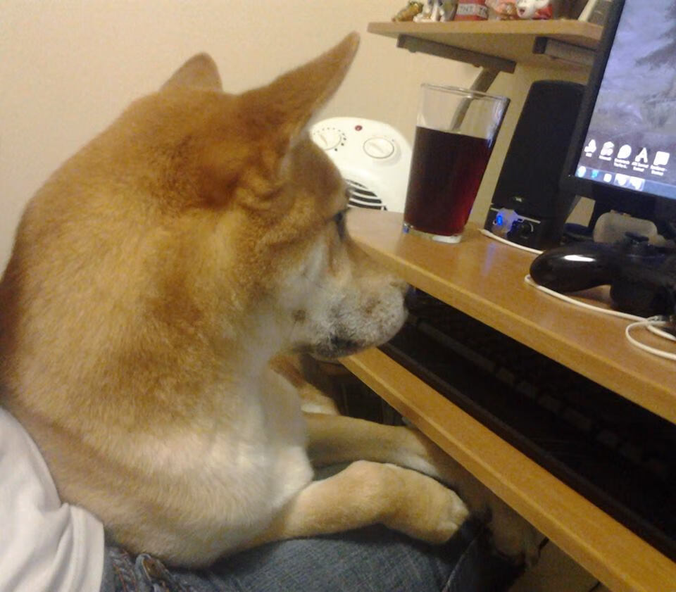 【夺冠秘籍】丁俊晖:攻防结合的极致实践,丁俊晖!