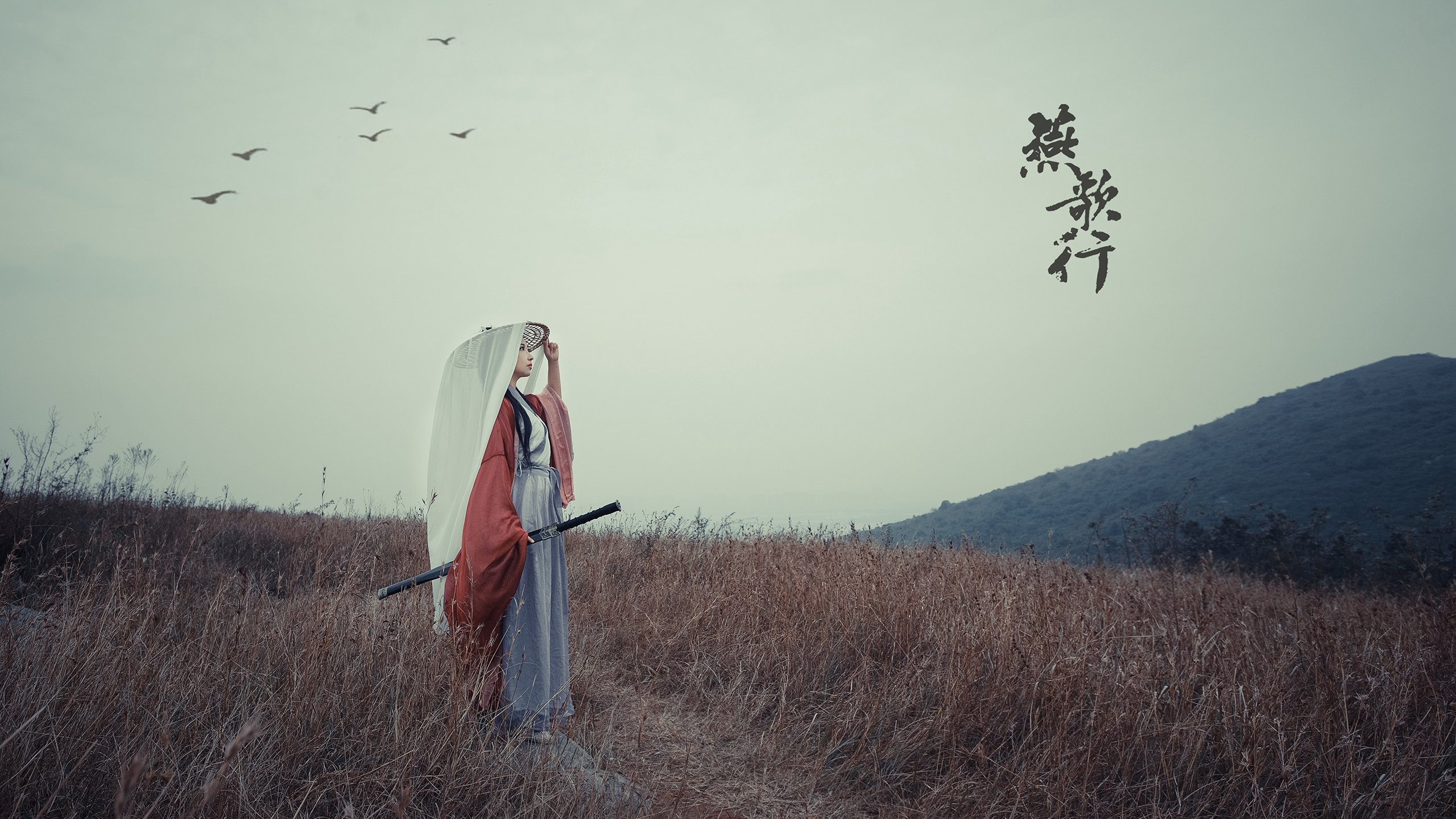 全球冰壶巡回赛,冰上竞技新热点,2022冰壶比赛