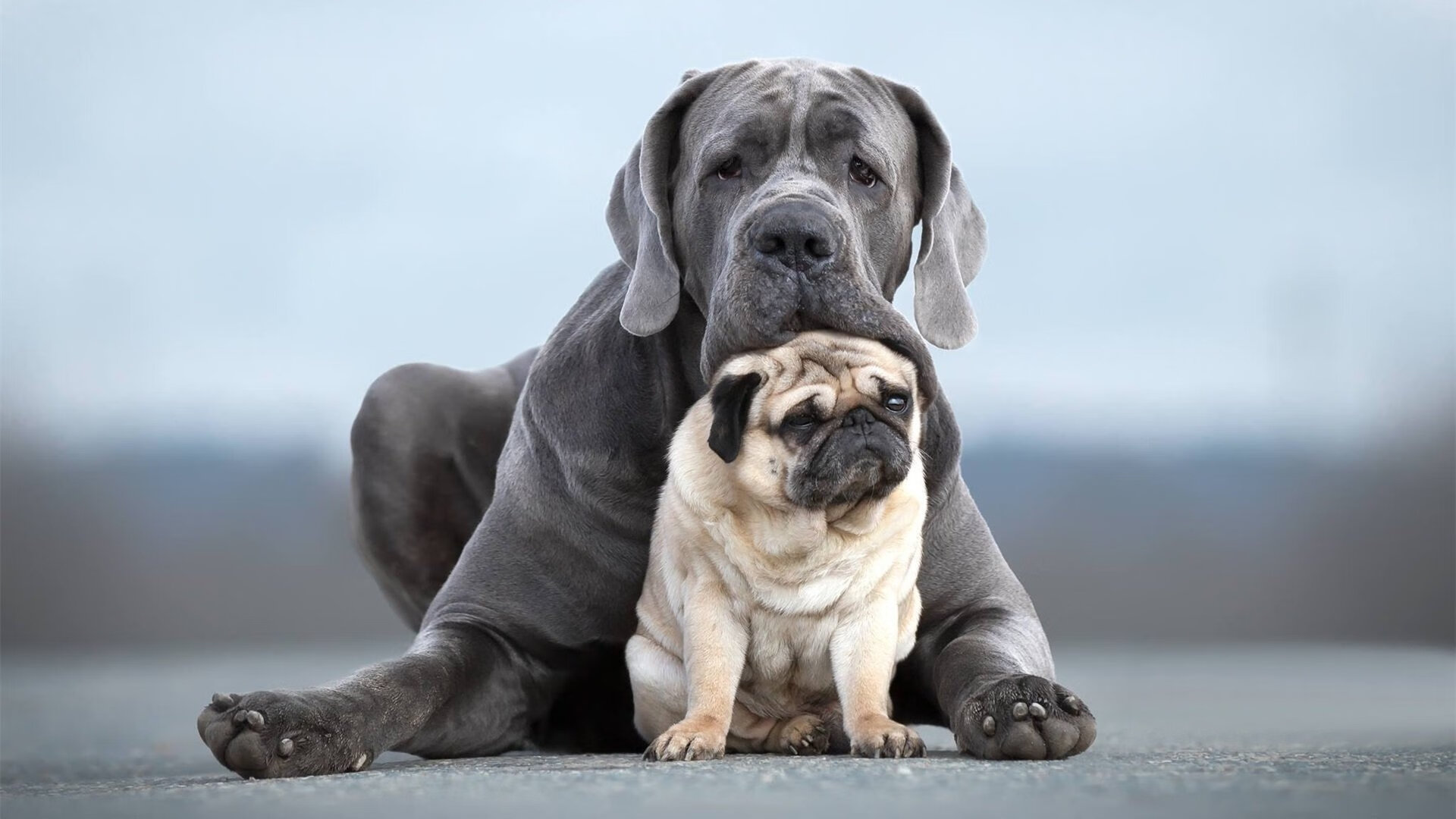 开云·体育官网APP下载-史上“最精彩”的团队合作：战术配合到极致的巅峰瞬间！，很棒的团队合作